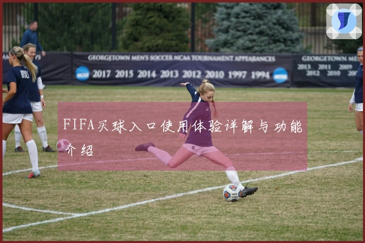 FIFA买球入口使用体验详解与功能介绍