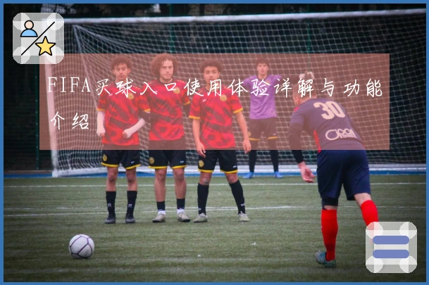 FIFA买球入口使用体验详解与功能介绍
