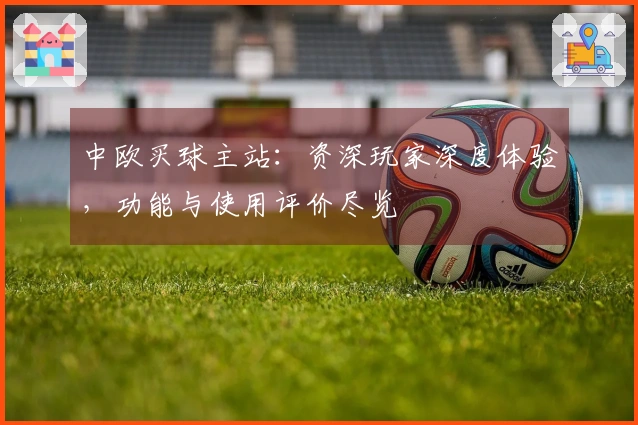 中欧买球主站：资深玩家深度体验，功能与使用评价尽览