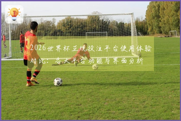 2026世界杯正规投注平台使用体验对比：各大平台功能与界面分析