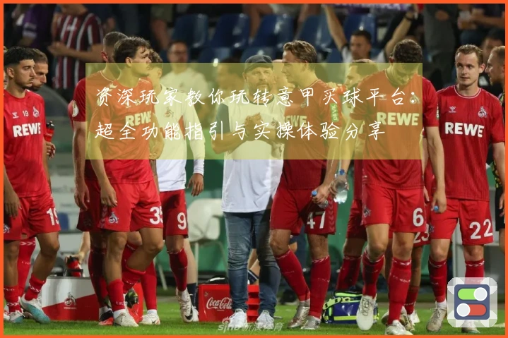 资深玩家教你玩转意甲买球平台：超全功能指引与实操体验分享