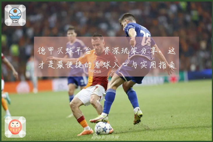 德甲买球平台：资深玩家分享，这才是最便捷的看球入口与实用指南