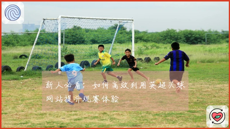 新人必看：如何高效利用英超买球网站提升观赛体验
