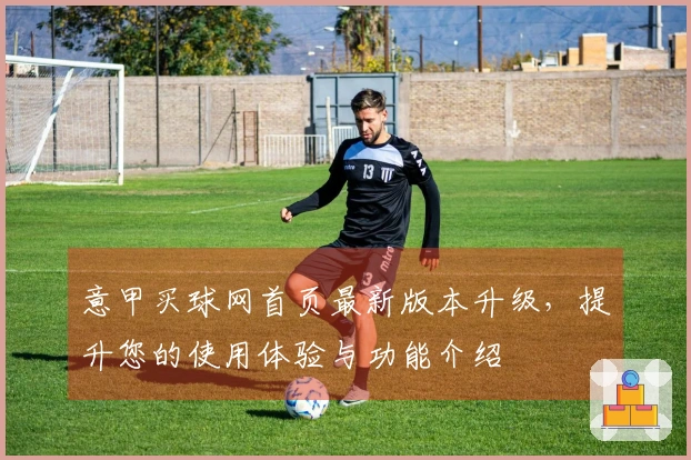 意甲买球网首页最新版本升级，提升您的使用体验与功能介绍